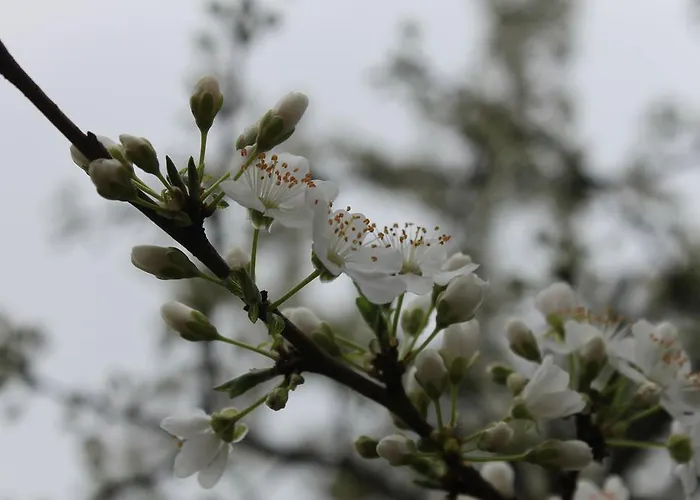 Apartment News Bucharest