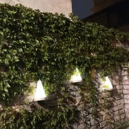 News 부쿠레슈티